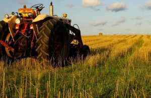 AgroPublic | Δίπλα στον αγρότη, καθημερινά αγροτικά νέα, γεωπονικές δημοσιεύσεις | 1556789917 0 agrotes 1804