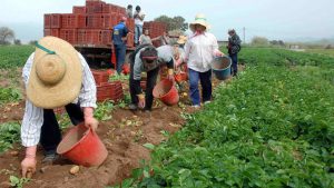 AgroPublic | Δίπλα στον αγρότη, καθημερινά αγροτικά νέα, γεωπονικές δημοσιεύσεις | 720 138403 b10185263f a3547d9b374e6d70