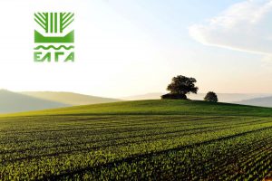 AgroPublic | Δίπλα στον αγρότη, καθημερινά αγροτικά νέα, γεωπονικές δημοσιεύσεις | 7678 1