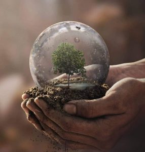 AgroPublic | Δίπλα στον αγρότη, καθημερινά αγροτικά νέα, γεωπονικές δημοσιεύσεις | cxcx