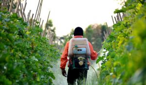AgroPublic | Δίπλα στον αγρότη, καθημερινά αγροτικά νέα, γεωπονικές δημοσιεύσεις | fytofarmaka