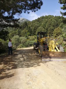 AgroPublic | Δίπλα στον αγρότη, καθημερινά αγροτικά νέα, γεωπονικές δημοσιεύσεις | lak das 19052020 1