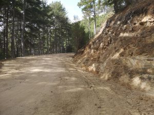 AgroPublic | Δίπλα στον αγρότη, καθημερινά αγροτικά νέα, γεωπονικές δημοσιεύσεις | lak das 19052020 2