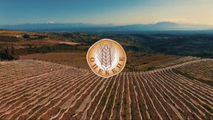 AgroPublic | Δίπλα στον αγρότη, καθημερινά αγροτικά νέα, γεωπονικές δημοσιεύσεις | opekepe 1