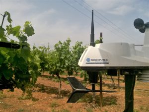 | SymbIoT gaiatron vineyard