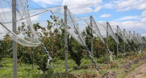 AgroPublic | Δίπλα στον αγρότη, καθημερινά αγροτικά νέα, γεωπονικές δημοσιεύσεις | antixalazika