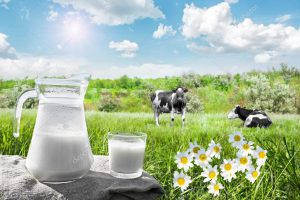 AgroPublic | Δίπλα στον αγρότη, καθημερινά αγροτικά νέα, γεωπονικές δημοσιεύσεις | depositphotos 118787898 stock photo glass jug with milk and