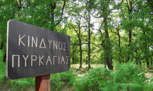 AgroPublic | Δίπλα στον αγρότη, καθημερινά αγροτικά νέα, γεωπονικές δημοσιεύσεις | 0022875468bc7eb9f4757a4c3fb96f47 l 1 0