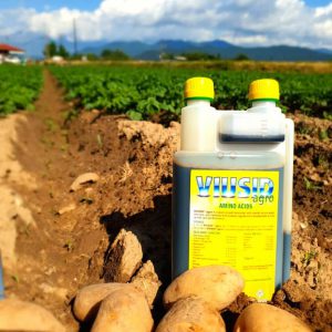 AgroPublic | Δίπλα στον αγρότη, καθημερινά αγροτικά νέα, γεωπονικές δημοσιεύσεις | 110200225 329639681530416 3552341571828503857 n 1