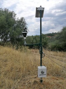 AgroPublic | Δίπλα στον αγρότη, καθημερινά αγροτικά νέα, γεωπονικές δημοσιεύσεις | 115804220 915058362333521 4507359937841312369 o