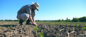 AgroPublic | Δίπλα στον αγρότη, καθημερινά αγροτικά νέα, γεωπονικές δημοσιεύσεις | agrotes8