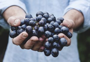 AgroPublic | Δίπλα στον αγρότη, καθημερινά αγροτικά νέα, γεωπονικές δημοσιεύσεις | banner 01