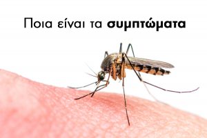 AgroPublic | Δίπλα στον αγρότη, καθημερινά αγροτικά νέα, γεωπονικές δημοσιεύσεις | c1b0a4547df2e85d25745907f884a65b w900
