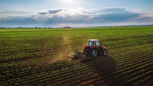 AgroPublic | Δίπλα στον αγρότη, καθημερινά αγροτικά νέα, γεωπονικές δημοσιεύσεις | farming georgia agrotis trakter