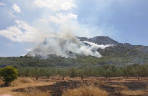 AgroPublic | Δίπλα στον αγρότη, καθημερινά αγροτικά νέα, γεωπονικές δημοσιεύσεις | fire korinthos