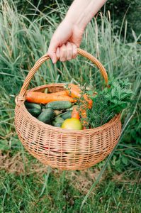 AgroPublic | Δίπλα στον αγρότη, καθημερινά αγροτικά νέα, γεωπονικές δημοσιεύσεις | homegrown vegetables in a basket