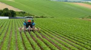 AgroPublic | Δίπλα στον αγρότη, καθημερινά αγροτικά νέα, γεωπονικές δημοσιεύσεις | images 1