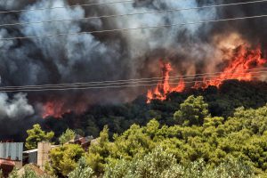 AgroPublic | Δίπλα στον αγρότη, καθημερινά αγροτικά νέα, γεωπονικές δημοσιεύσεις | kehries fotiak korinthia8733