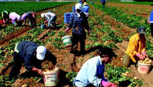 AgroPublic | Δίπλα στον αγρότη, καθημερινά αγροτικά νέα, γεωπονικές δημοσιεύσεις | metanastes xorafia