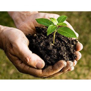 AgroPublic | Δίπλα στον αγρότη, καθημερινά αγροτικά νέα, γεωπονικές δημοσιεύσεις | organic manure 500x500 1