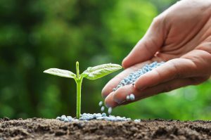 AgroPublic | Δίπλα στον αγρότη, καθημερινά αγροτικά νέα, γεωπονικές δημοσιεύσεις | outlook for the global fertilizer market