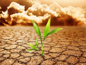 AgroPublic | Δίπλα στον αγρότη, καθημερινά αγροτικά νέα, γεωπονικές δημοσιεύσεις | soil pollution