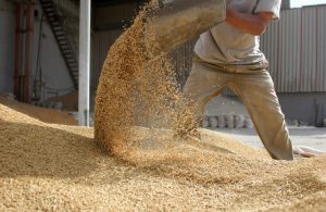 AgroPublic | Δίπλα στον αγρότη, καθημερινά αγροτικά νέα, γεωπονικές δημοσιεύσεις | sssa