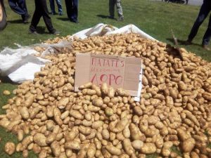 AgroPublic | Δίπλα στον αγρότη, καθημερινά αγροτικά νέα, γεωπονικές δημοσιεύσεις | 0e0c6f0634b2e04b72db61798c191005 L