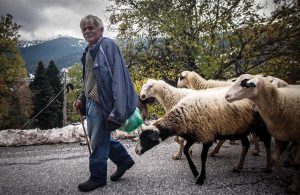 AgroPublic | Δίπλα στον αγρότη, καθημερινά αγροτικά νέα, γεωπονικές δημοσιεύσεις | exiswtiki