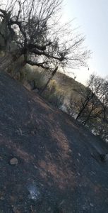 AgroPublic | Δίπλα στον αγρότη, καθημερινά αγροτικά νέα, γεωπονικές δημοσιεύσεις | 119140282 309100040381397 240213629543443669 n