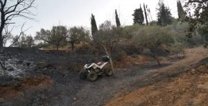 AgroPublic | Δίπλα στον αγρότη, καθημερινά αγροτικά νέα, γεωπονικές δημοσιεύσεις | 119208218 647058686206835 5016592303896493721 n