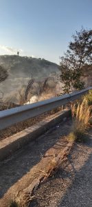 AgroPublic | Δίπλα στον αγρότη, καθημερινά αγροτικά νέα, γεωπονικές δημοσιεύσεις | 119236686 618388755535765 5145879776528720532 n