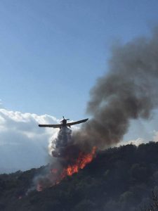 AgroPublic | Δίπλα στον αγρότη, καθημερινά αγροτικά νέα, γεωπονικές δημοσιεύσεις | 119423125 3529793060374743 7792902116027714154 n