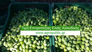 AgroPublic | Δίπλα στον αγρότη, καθημερινά αγροτικά νέα, γεωπονικές δημοσιεύσεις | 21908987 1888238151202561 1617808698 o