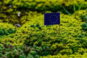 AgroPublic | Δίπλα στον αγρότη, καθημερινά αγροτικά νέα, γεωπονικές δημοσιεύσεις | 5df105ab250000af61d2fd35 1