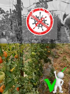 AgroPublic | Δίπλα στον αγρότη, καθημερινά αγροτικά νέα, γεωπονικές δημοσιεύσεις | IMG 20200929 WA0017 1