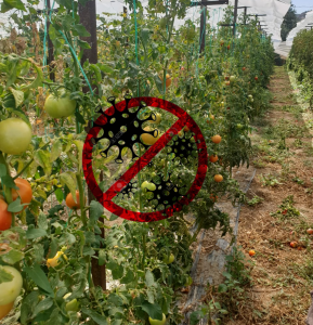 AgroPublic | Δίπλα στον αγρότη, καθημερινά αγροτικά νέα, γεωπονικές δημοσιεύσεις | IMG 20200929 WA0017 1