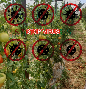 AgroPublic | Δίπλα στον αγρότη, καθημερινά αγροτικά νέα, γεωπονικές δημοσιεύσεις | IMG 20200929 WA0017 2