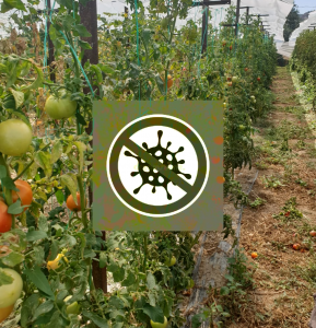 AgroPublic | Δίπλα στον αγρότη, καθημερινά αγροτικά νέα, γεωπονικές δημοσιεύσεις | IMG 20200929 WA0017