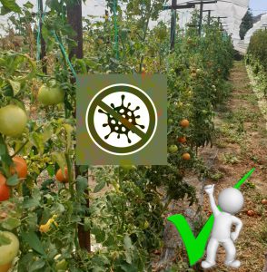 AgroPublic | Δίπλα στον αγρότη, καθημερινά αγροτικά νέα, γεωπονικές δημοσιεύσεις | IMG 20200929 WA0017 3