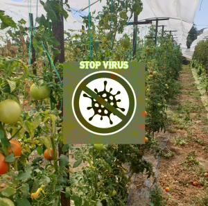 AgroPublic | Δίπλα στον αγρότη, καθημερινά αγροτικά νέα, γεωπονικές δημοσιεύσεις | IMG 20200929 WA0017 3