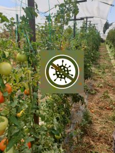 AgroPublic | Δίπλα στον αγρότη, καθημερινά αγροτικά νέα, γεωπονικές δημοσιεύσεις | IMG 20200929 WA0017 5