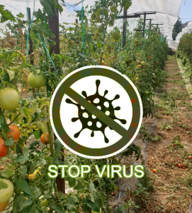 AgroPublic | Δίπλα στον αγρότη, καθημερινά αγροτικά νέα, γεωπονικές δημοσιεύσεις | IMG 20200929 WA0017 5