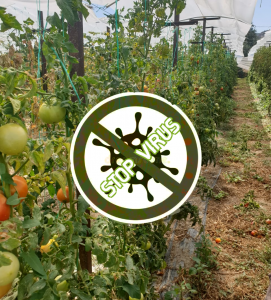 viusid-viodiegertis-biodiegertis-kainotoma-skeuasmata-biodiegertes-agrotika-proionta-lipasmata-farmaka-bio-farming-agro-agropublic