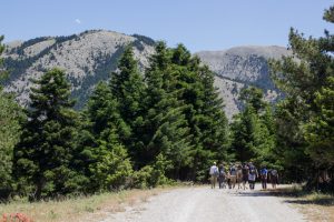 AgroPublic | Δίπλα στον αγρότη, καθημερινά αγροτικά νέα, γεωπονικές δημοσιεύσεις | discoverkynouria174 1