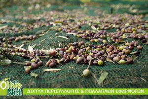 AgroPublic | Δίπλα στον αγρότη, καθημερινά αγροτικά νέα, γεωπονικές δημοσιεύσεις | elaiosygomidis dixtya olivenet 2 3