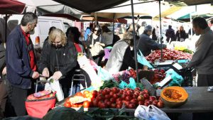 AgroPublic | Δίπλα στον αγρότη, καθημερινά αγροτικά νέα, γεωπονικές δημοσιεύσεις | laiki