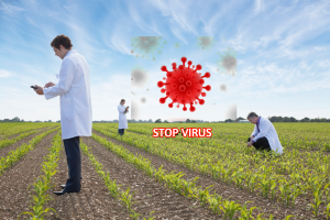 AgroPublic | Δίπλα στον αγρότη, καθημερινά αγροτικά νέα, γεωπονικές δημοσιεύσεις | o gmo facebook 0