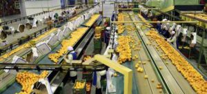 AgroPublic | Δίπλα στον αγρότη, καθημερινά αγροτικά νέα, γεωπονικές δημοσιεύσεις | panaigialeios 2 61