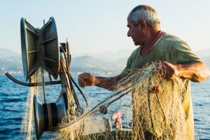 AgroPublic | Δίπλα στον αγρότη, καθημερινά αγροτικά νέα, γεωπονικές δημοσιεύσεις | psaras1507112092